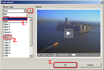 Free Video to Flash Converter: select player